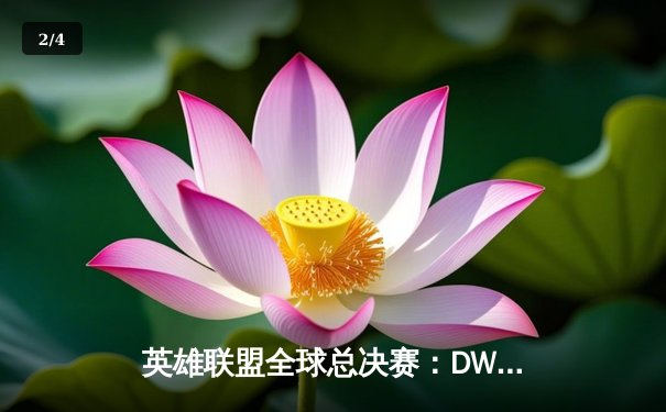 英雄联盟全球总决赛：DWG横扫SN夺冠，ShowMaker加冕FMVP - 2
