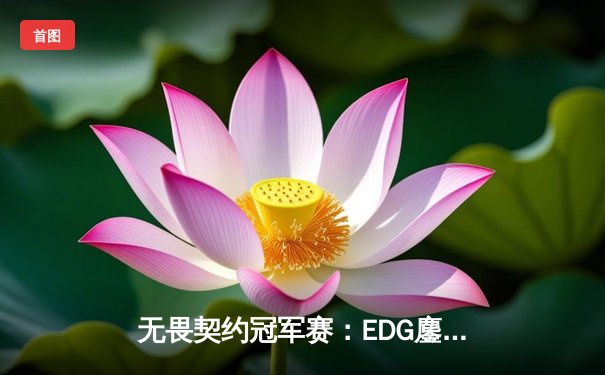 无畏契约冠军赛：EDG鏖战五局力克PRX晋级四强，康康关键局五杀封神